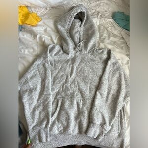 Aritzia hoodie